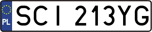 SCI213YG
