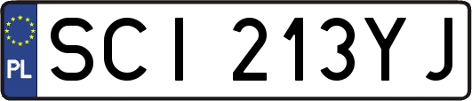 SCI213YJ