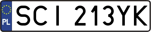 SCI213YK