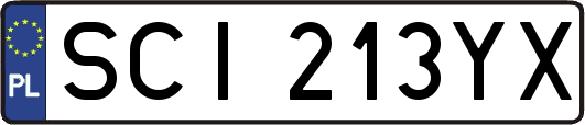 SCI213YX