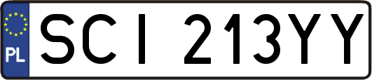 SCI213YY