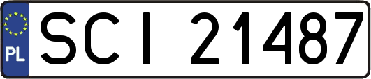 SCI21487