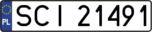 SCI21491