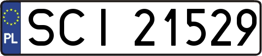 SCI21529