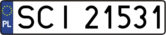 SCI21531