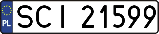 SCI21599