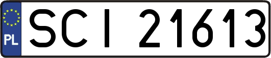 SCI21613