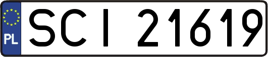 SCI21619