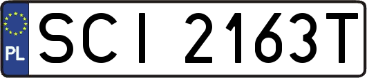 SCI2163T