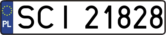 SCI21828