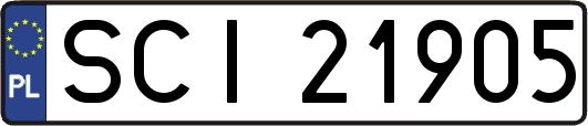 SCI21905