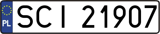 SCI21907