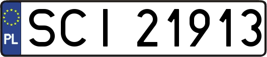 SCI21913