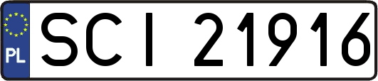 SCI21916