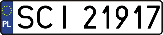 SCI21917