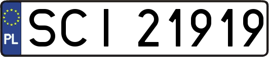 SCI21919