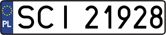 SCI21928