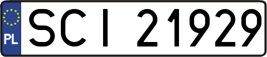 SCI21929