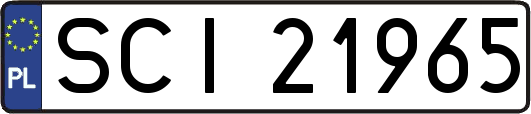 SCI21965