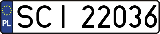 SCI22036