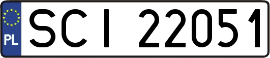 SCI22051