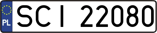 SCI22080