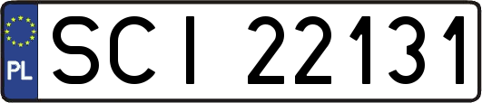 SCI22131