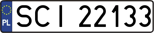 SCI22133