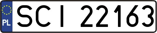 SCI22163