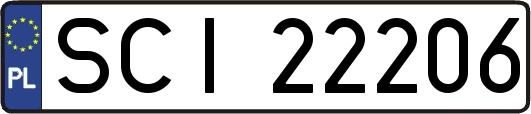 SCI22206