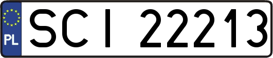 SCI22213