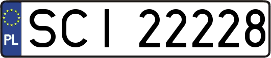SCI22228