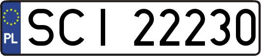 SCI22230