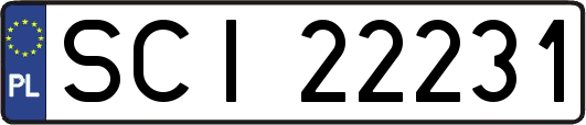 SCI22231