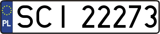SCI22273