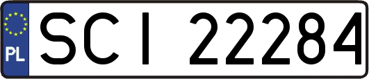 SCI22284