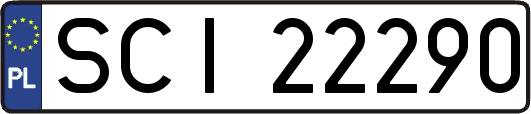 SCI22290