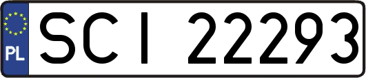 SCI22293