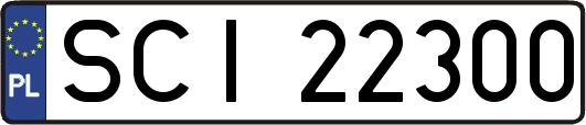 SCI22300
