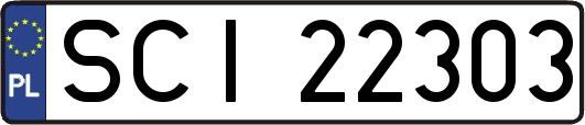SCI22303