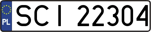 SCI22304