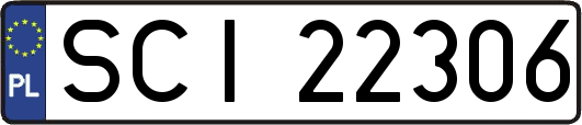 SCI22306