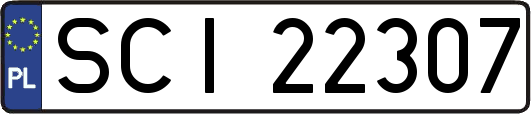 SCI22307