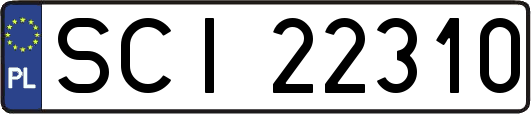 SCI22310