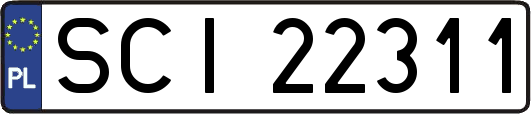 SCI22311