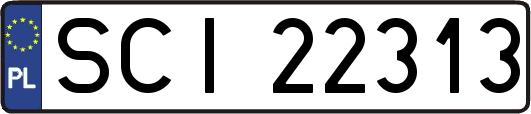 SCI22313