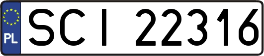SCI22316