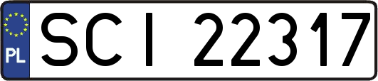 SCI22317