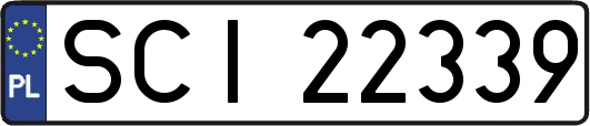 SCI22339
