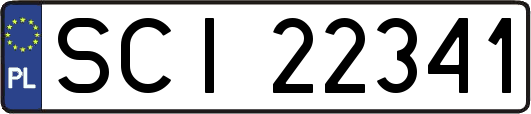 SCI22341